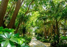 Marbella has won the highest award at the Andalucía en Flor 2024 Awards.