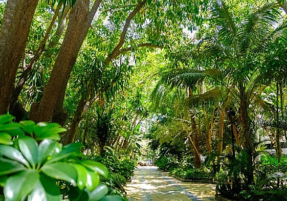 Marbella has won the highest award at the Andalucía en Flor 2024 Awards.