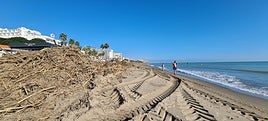 Beachgoers next to a mountain of reeds on the beach of La Carihuela.