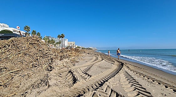 Clear up under way along Costa del Sol after storm leaves debris strewn on beaches
