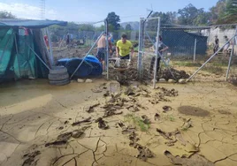 Volunteers help out at Last Chance Animal Rescue in Pizarra.