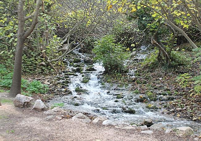 El Chorro is the source of the Cerezo stream, a tributary of the Guadalhorce.
