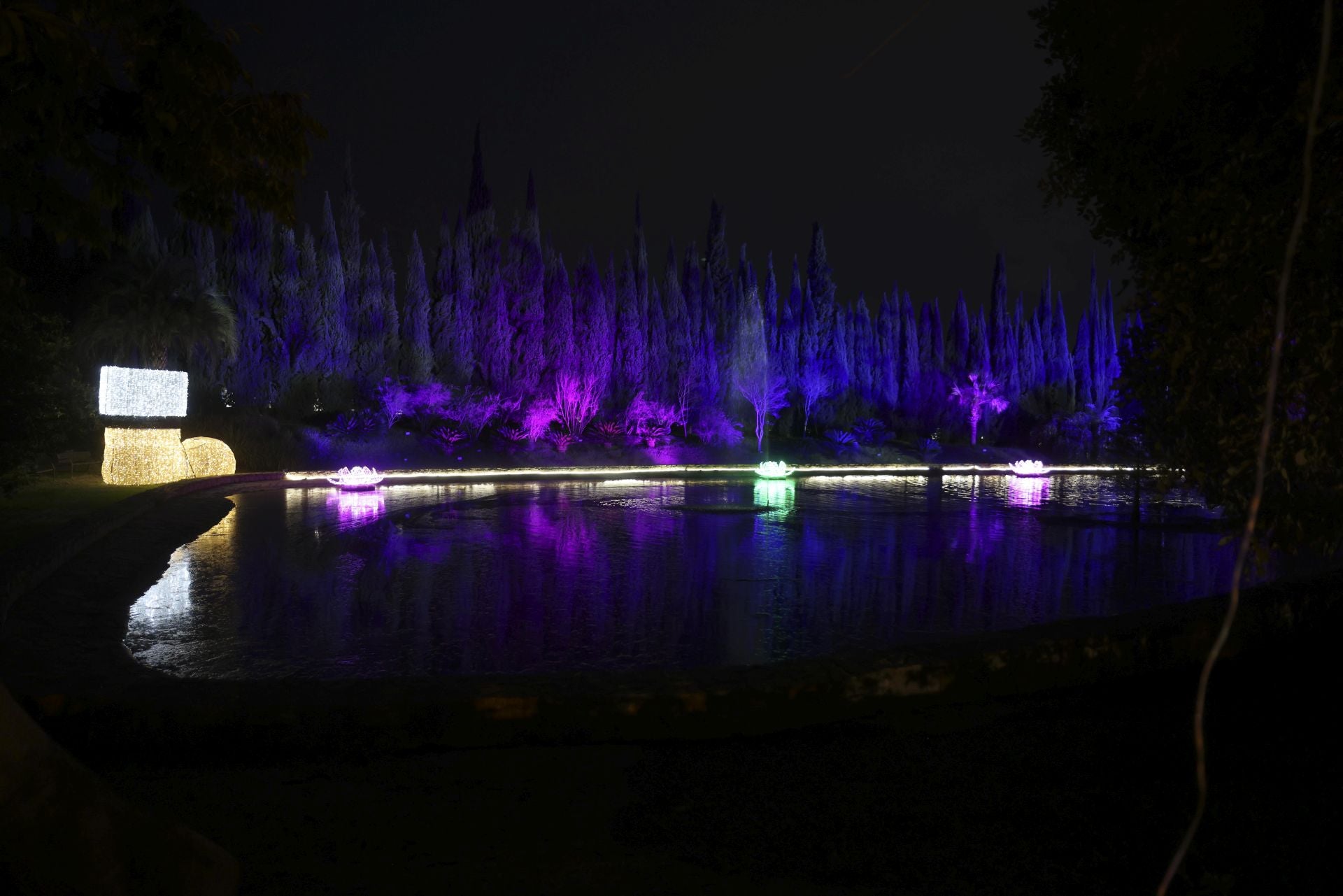 Christmas lights at La Concepción in Malaga