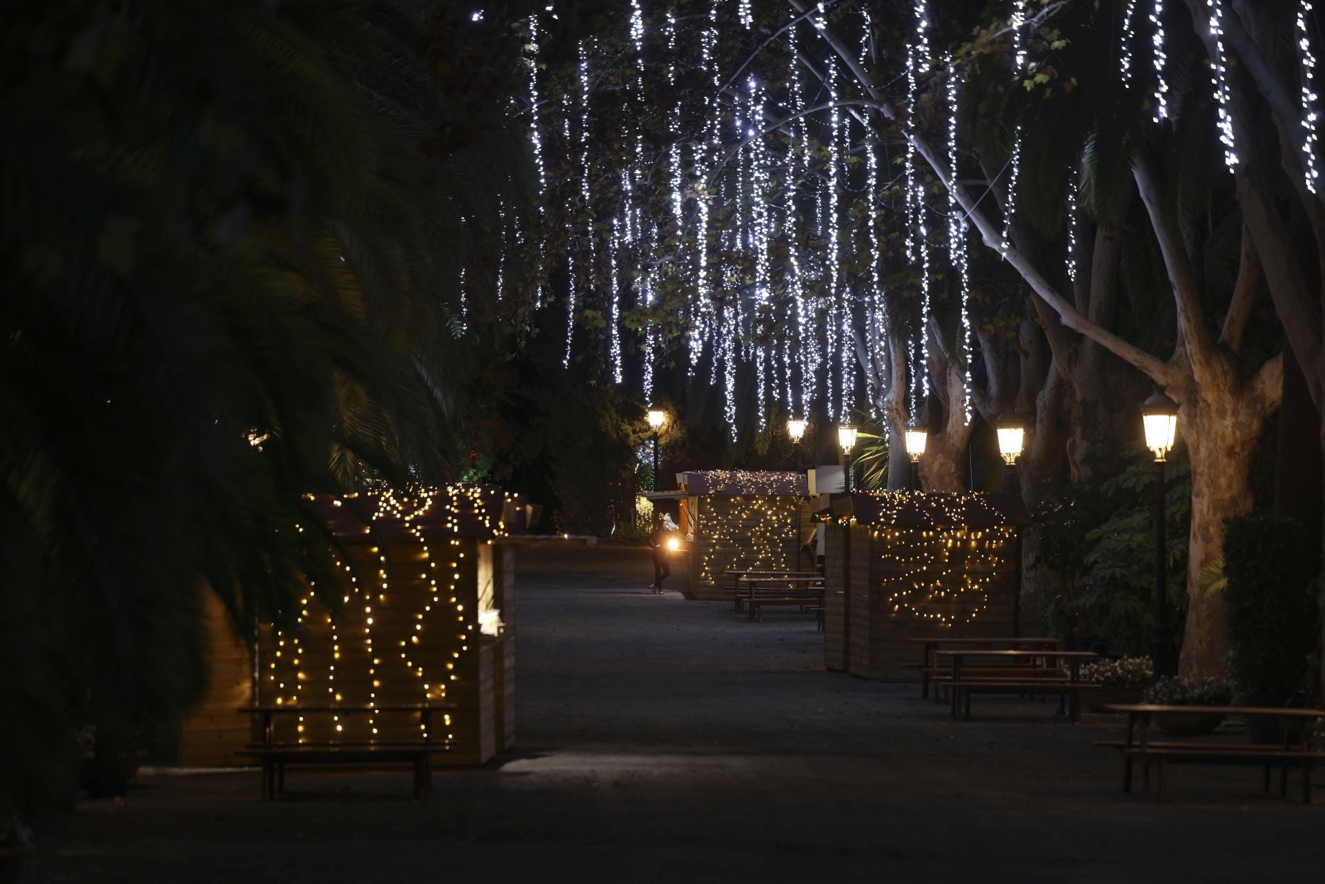 Christmas lights at La Concepción in Malaga