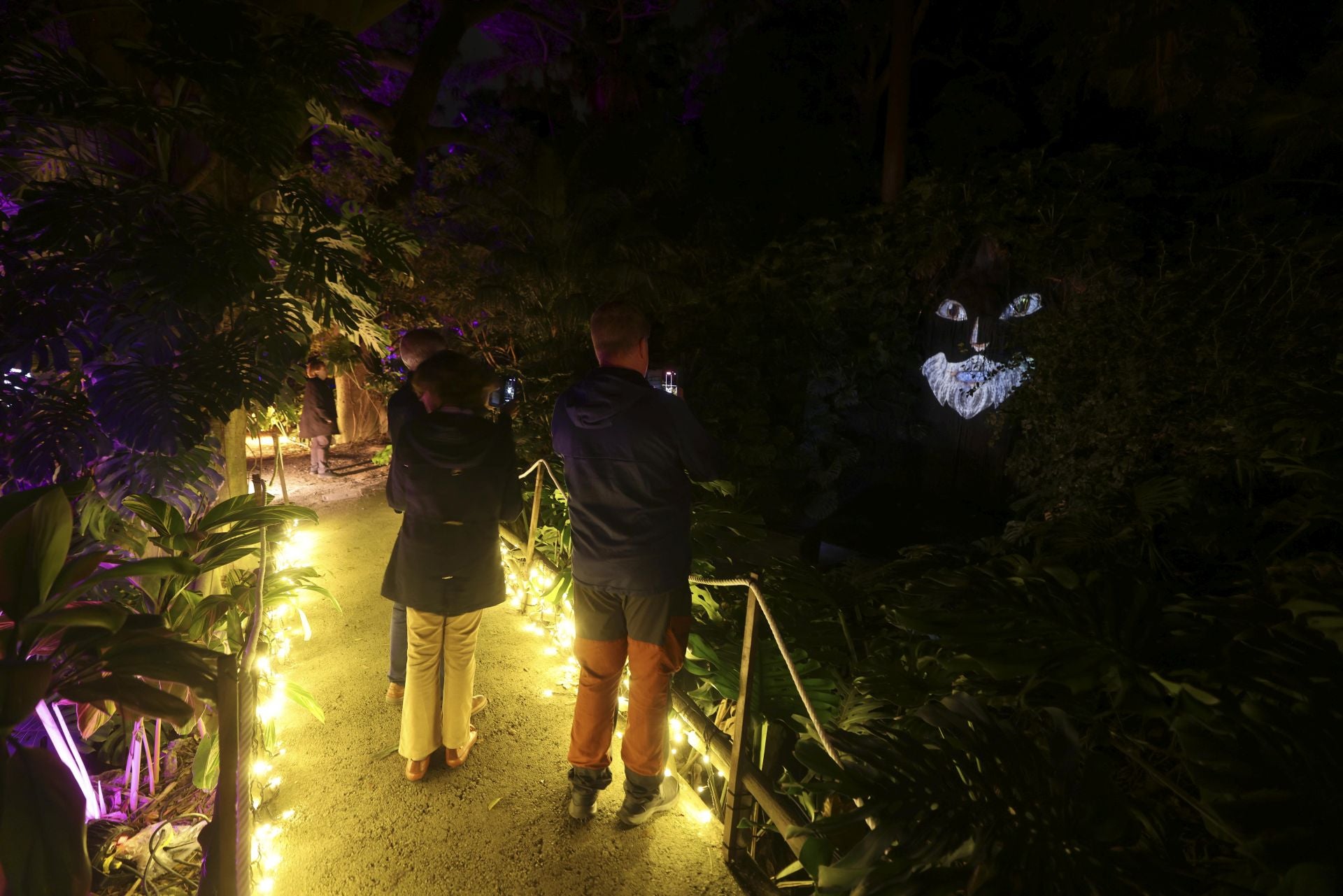 Christmas lights at La Concepción in Malaga