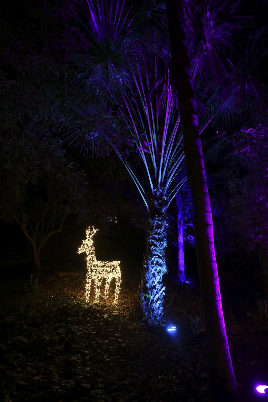 Christmas lights at La Concepción in Malaga