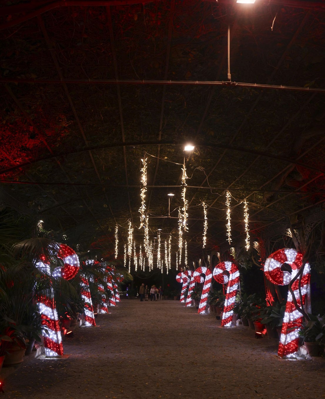 Christmas lights at La Concepción in Malaga