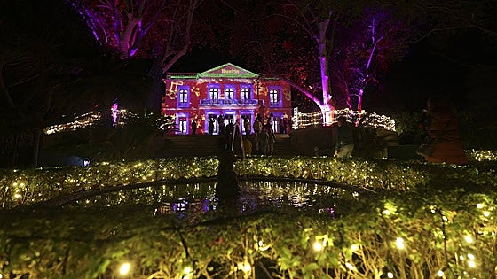 Capture the magic of Malaga's botanical garden this Christmas