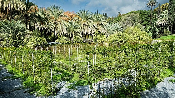 New maze in Malaga nears completion and this is when it is due to open