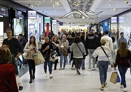 Which shops and shopping centres are open this Sunday in Malaga?