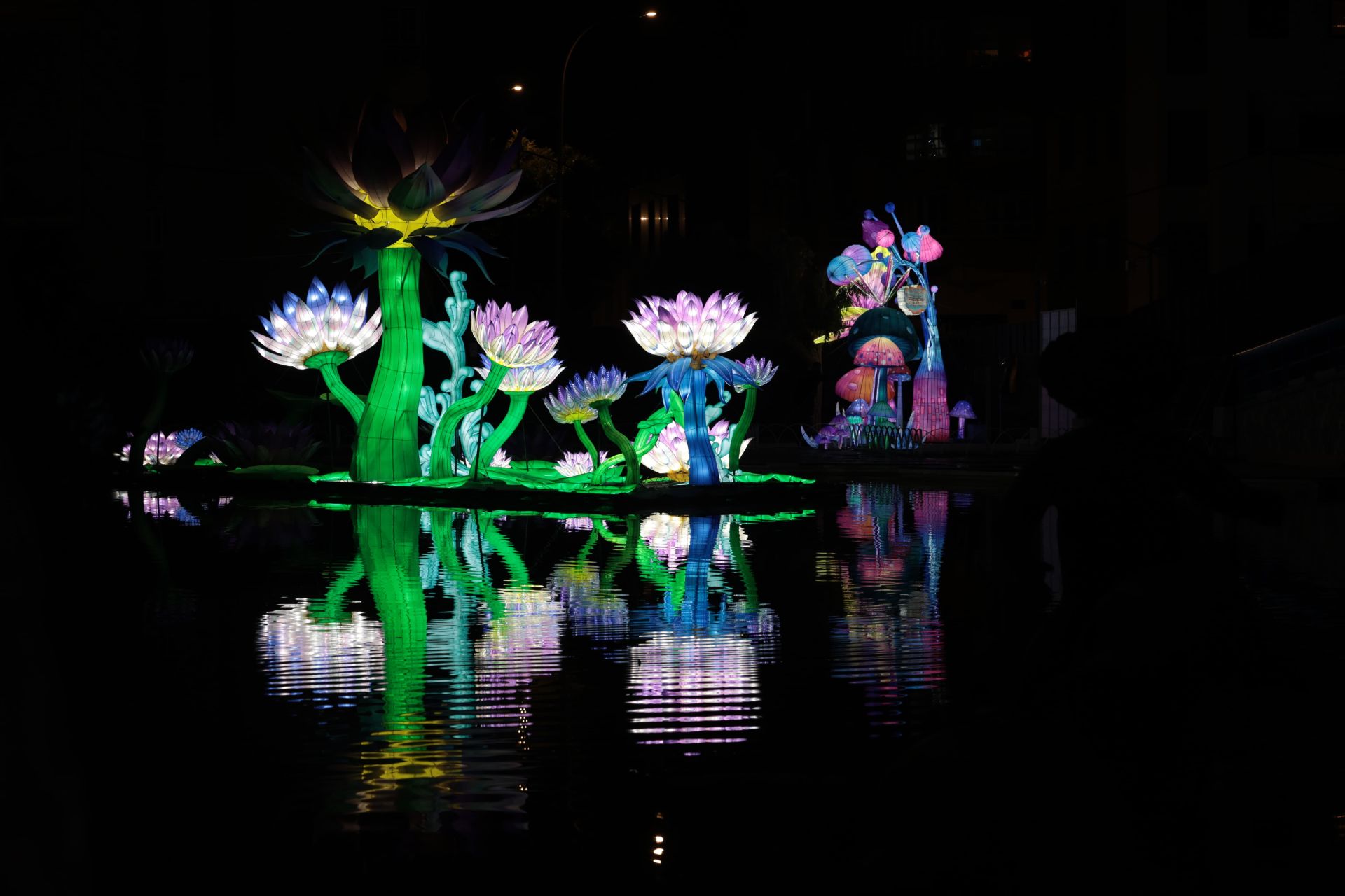 Chinese lantern festival in pictures