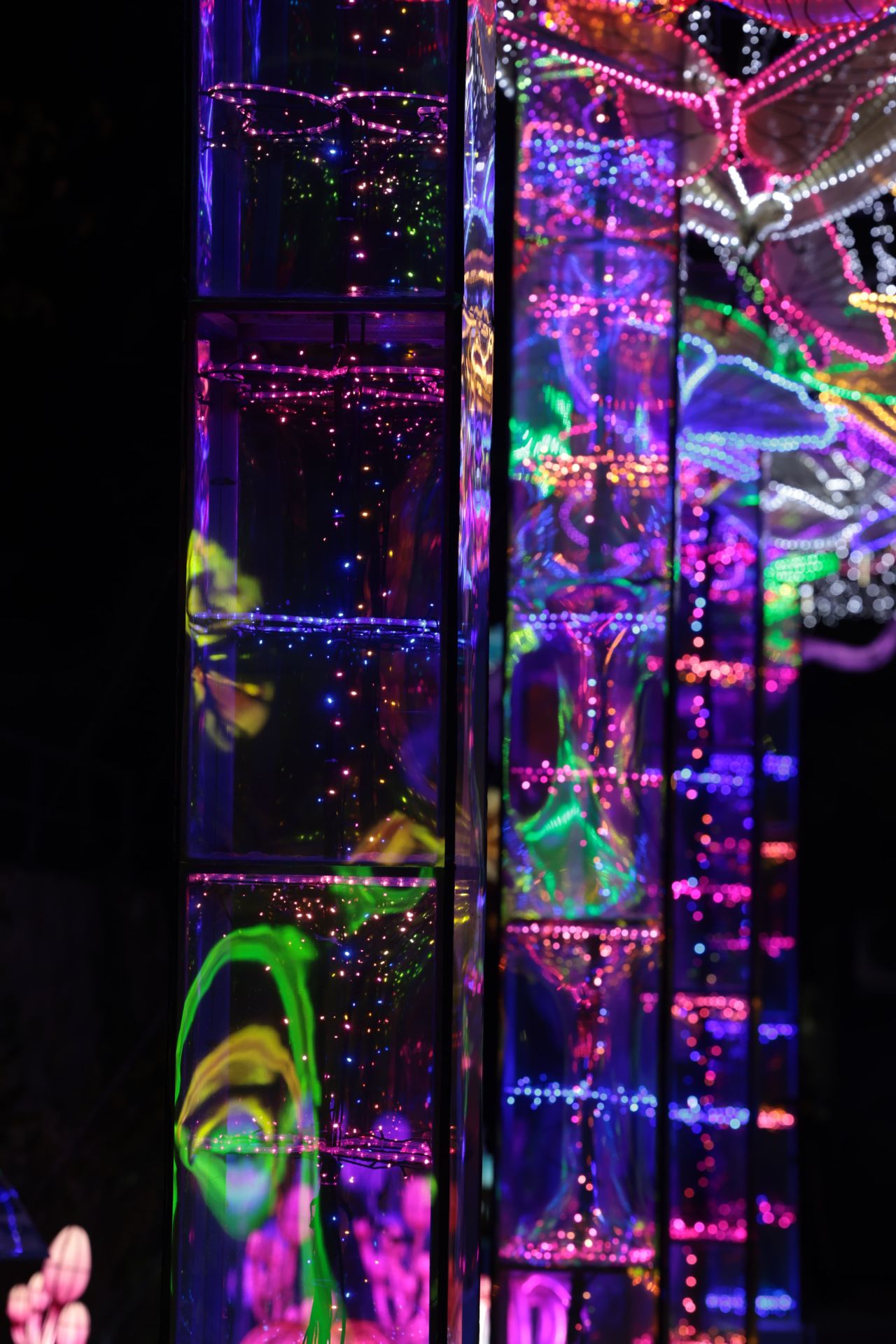 Chinese lantern festival in pictures