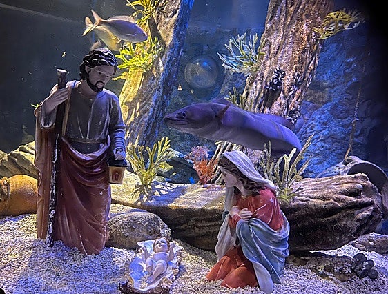 Sea Life's underwater Nativity returns to Benalmádena this Christmas