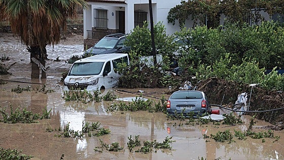 Junta scraps transfer of ownership tax for people who are buying second-hand after losing vehicles in 'Dana' floods