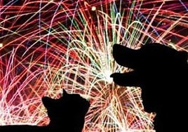 Malaga mayor reminds people of their responsibilities in annual festive period message