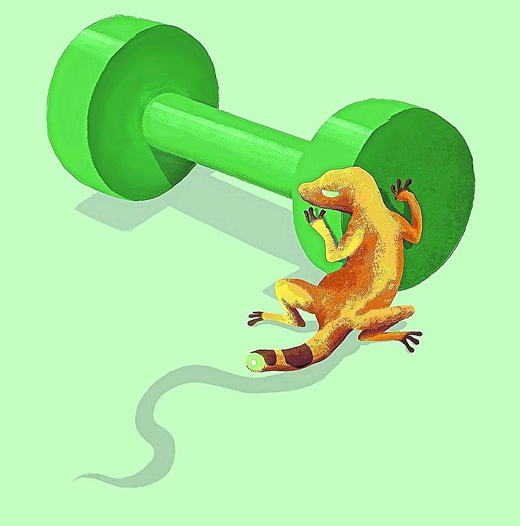 Muscles: your guarantee of a healthier life