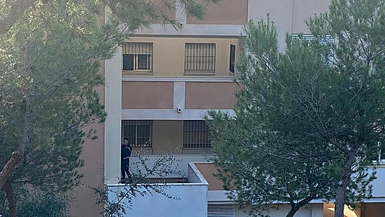 Benalmádena fatal stabbing suspect is a lawyer in Madrid who came to the Costa to pick up a cat