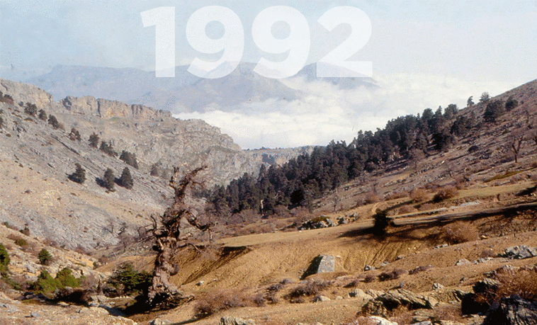 Nature given a helping hand in the Sierra de las Nieves