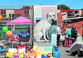 A previous open day at the ACE animal shelter in Mijas.
