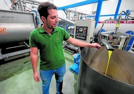 Adrián García filters the 2024-2025 oil from freshly-harvested olives.