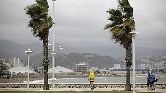 New storm triggers Aemet weather alerts in Malaga and along the Costa del Sol