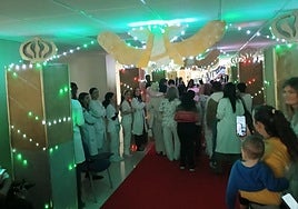 Malaga children's hospital recreates city's famous synchronised Christmas light and music show