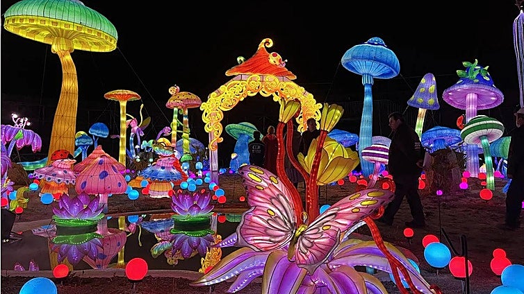 Malaga will consider relocating Chinese lantern festival depending on 'overall reaction' of residents
