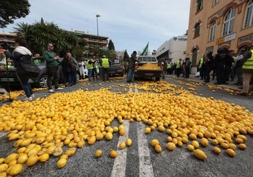 Lemons, demolition and new attractions