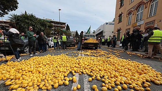 Lemons, demolition and new attractions