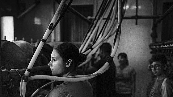 Photo capturing rural life in one of Malaga's smallest villages wins major competition