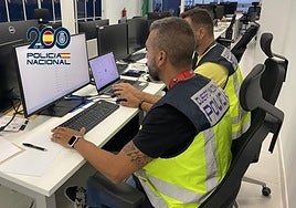 National Police cybercrime officers in Malaga.