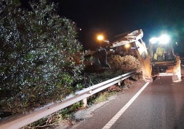 Night work to remove vegetation from the median strip where the road will be widened.