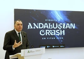 Bernal presents Andalusia's strategy at Fitur.