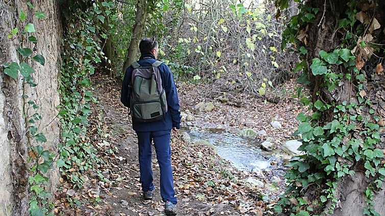 The Arroyo de la Ventilla trail near Ronda: one of the most unique waterside walks in Andalucía