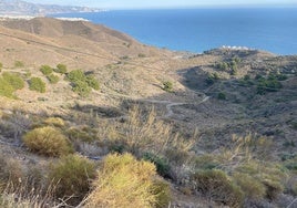 There are plans for a golf course, marina and 4,600 new homes in the Calaceite area of Torrox Costa.