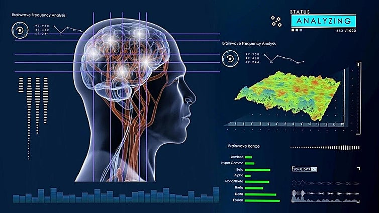 To what do we owe the size of our brain? Once again it could be down to the microbiota in our gut