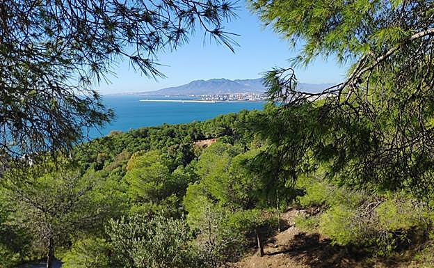 El Morlaco parkland.