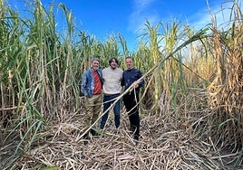 Chandler and Gutiérrez Rivas with Francisco Izquierdo (centre) from Ron El Mondero on the Costa Tropical.