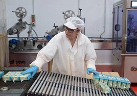 Unemployment in Malaga province fell by 34,000 in 2024