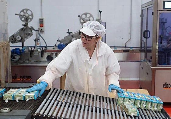 Unemployment in Malaga province fell by 34,000 in 2024