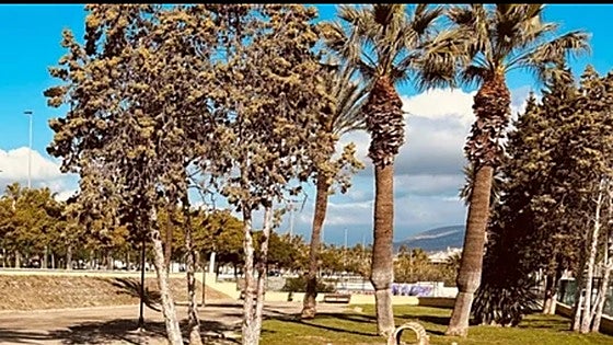 Dogs on eastern Costa del Sol get new facilities at popular park