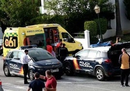 British man convicted of road rage murder in Estepona will serve 20-year prison sentence