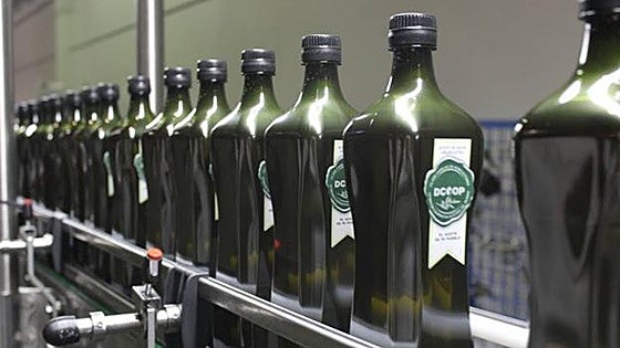 Malaga province agri-food cooperative achieves record 1.55-billion-euro turnover