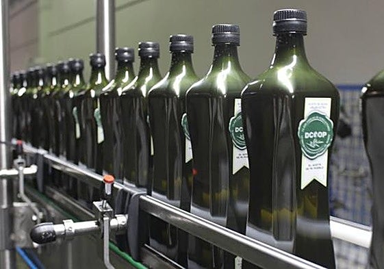 Olive oil bottling plant.