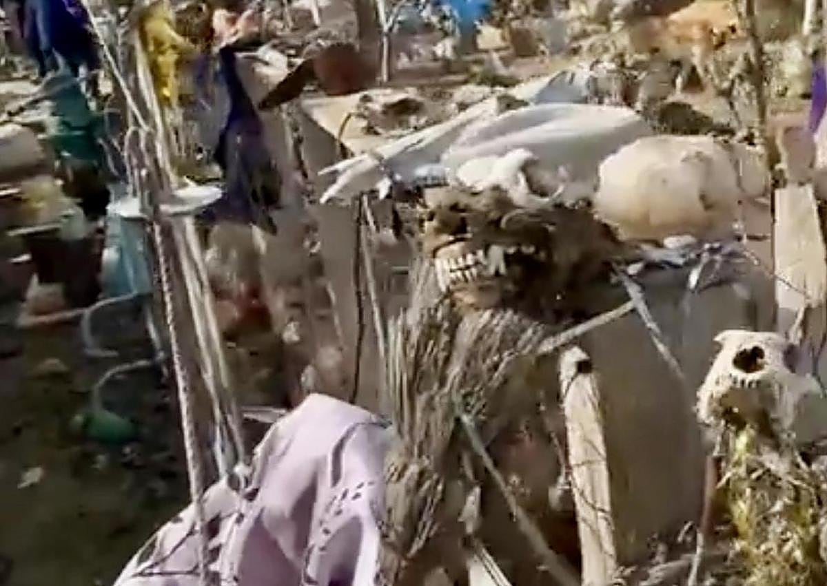 Imagen secundaria 1 - Toledo man arrested for animal cruelty charges and 'burning a dog as part of a ritual'