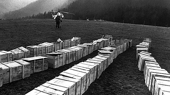 The haunting images left behind 40 years after 148 people died in plane crash in Spain