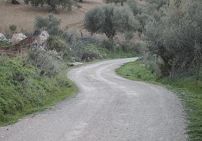 First section from Guaro.