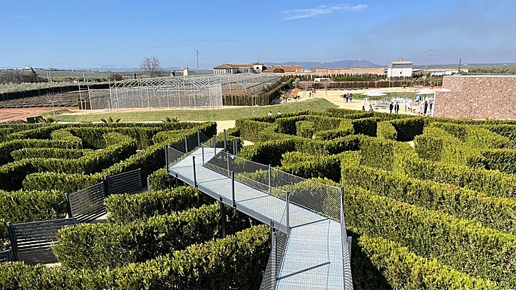 Watch as the largest hedge maze in Spain prepares to open its gates in inland Malaga province town