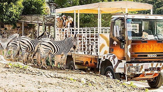 Estepona town hall to distribute more than 83,000 Selwo Aventura free entrance tickets to local residents