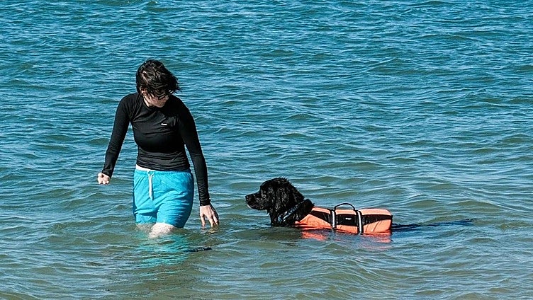 Mojácar to open the fourth dog-friendly beach in Almeria in 2025